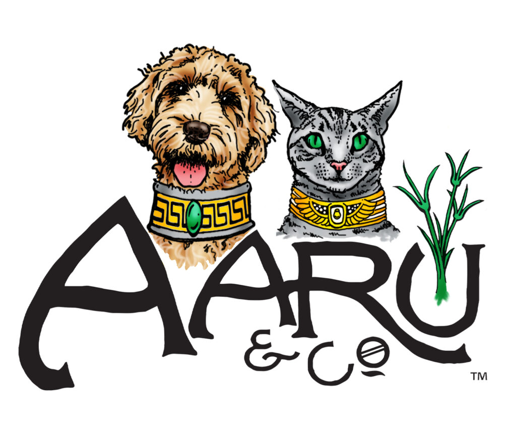 Aaru Logo