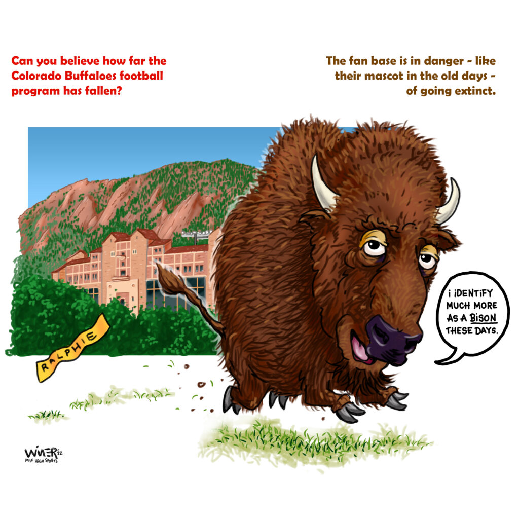 ralphie the bison w copy